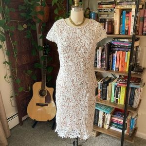 Lulus right sheer right now lace bodycon dress